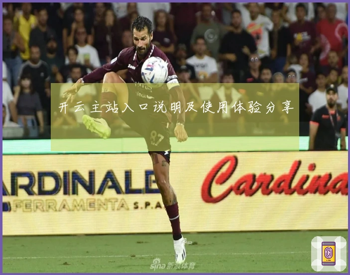 开云主站入口说明及使用体验分享