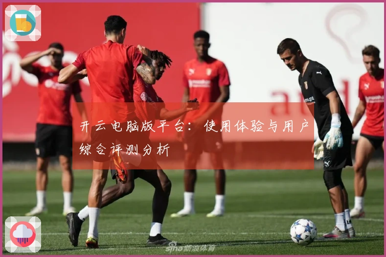 开云电脑版平台：使用体验与用户综合评测分析