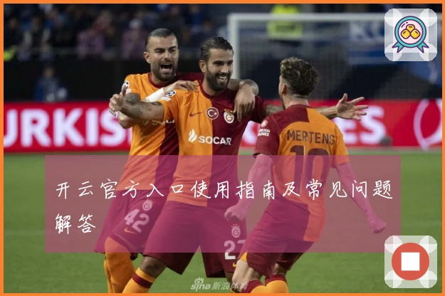 开云官方入口使用指南及常见问题解答